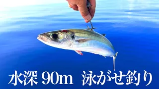 大きなアジで泳がせ釣りしたら季節外れの大物が釣れた