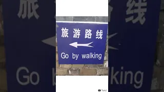 Signs That Got Lost in Translation V5 | Engrish | MEMES |  #shorts 181