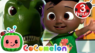 Take Care Of Your Pet's | CoComelon - Cody's Playtime | Songs for Kids & Nursery Rhymes