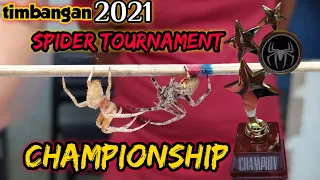 Gold trophy Sino Ang mag-uuwe😱 Spider tournament champion 🕷️🇵🇭