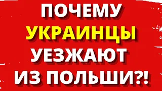 УКРАИНСКИЕ БЕЖЕНЦЫ МАССОВО УЕЗЖАЮТ ДОМОЙ. Беженцы в Германии и Польше уезжают