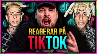 REAGERAR PÅ TIKTOK: VAD I GUDS NAMN ÄR DET HÄR?! *HAHAHA*