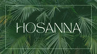 Palm- Hosanna - Motion Background/Loop