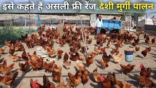 ऐसा कमाल का फार्म आपने देखा नहीं होगा | Free Range Desi Murgi Palan | Desi Poultry Farm + Goat farm