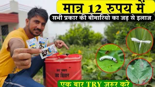 क्या 12 ₹ का शैम्पू है मिलीबग और चेपा जैसी बीमारियों का रामबाण ॥ Shampoo Spray in Farming