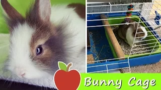 ★ Muchi the Bunny: Cage and Room SETUP ★