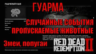 Пропускаемые животные Гуармы в Red Dead Redemption 2