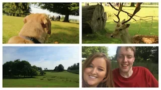 Vlog: Meeting Well Eye Never, Deers and Dogs | FashioneyesstaExtra