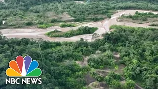 Amazon Rainforest Severely Impacted By Gold Mining