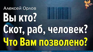 Что позволено скоту, рабу, человеку. Кто ТЫ?