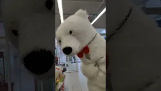 Шокировали сотрудницу супермаркета! Поздравление от белого медведя