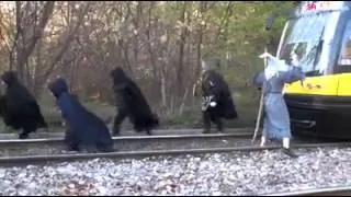 You Shall Not Pass (Gandalf Parody)