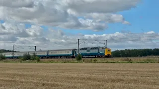 Roaring DELTIC 55013 'The Black Watch' ~ 1Z55 The Coronation Deltic 19/08/2023