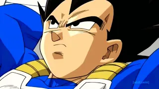 King kai tell vegeta to be care full cuz lord beerus in going to earth