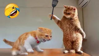 Funniest Animals 😄 New Funny Cats and Dogs Videos 😹🐶 Part 8