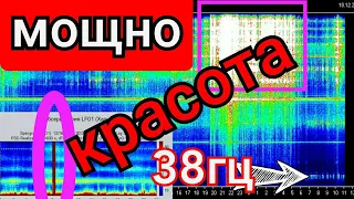 УРА частота 38 герц с нами, обзор графиков Резонанса Шумана из разных стран 17,12,2021 и 18,12,2021г