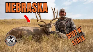 Giant Velvet Nebraska Mule Deer | SPOT N' STALK | The Bearded Buck