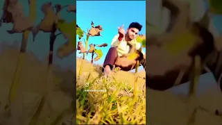 जाने वफ़ा तुमको क्या दे #viral #instagram #trending #trendingshorts #viralvideo