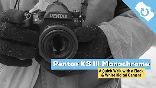 Shooting the Pentax K3 III Monochrome - Kamerastore