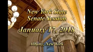 New York State Senate Session - 01/17/18