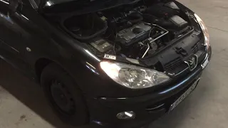 Peugeot 206 Kaufberatung Probleme/Stärken