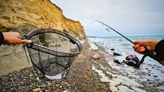 JAGD NACH DEM OSTSEE SILBER