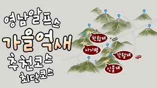 영남알프스 가을 억새 추천 산행 코스 / 최단 등산 코스 / 간월재 신불재 천황재 억새 상황 / 영축산 신불산 간월산 천황산 등산 코스 / 당일 산행