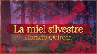 La miel silvestre - Horacio Quiroga (Audiolibro completo en español) Cuentos de la selva