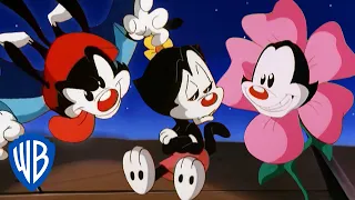Animaniacs | What a Pun-derful World! 🤡 | Classic Cartoon Compilation | WB Kids