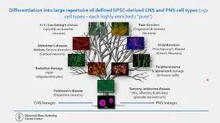 Capturing Multiple CNS Cell Types and Genotypes in Human Stem Cell-Based Models of Neural Disease