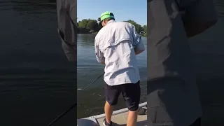 DUDE!  MASSIVE Muskie Explosion! #fishing #muskie #shorts #musky