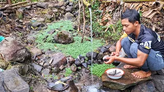 Diguyur Hujan Deras, Pulang Dari Pasar, Belanja Kebutuhan Dapur, Goreng Ikan Mujair