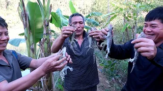 Junglers catch and eat delicious geckos