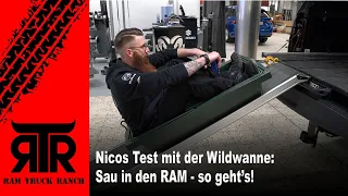 Nicos Test mit der Wildwanne: So kommt die Sau in den RAM - RTR - RAM Truck Ranch