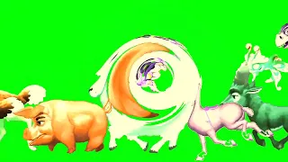 Animal Running With Animation Green Screen | Animal Stampede Green Screen#@JPCartoon514