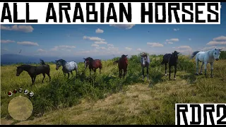 Red Dead Redemption 2 - All arabian horses.