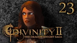 THE CHICKEN MAN | Divinity 2: The Dragon Knight Saga #23