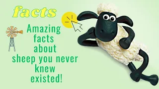 Sheep Revealed: Surprising Facts and Extraordinary Abilities!