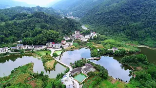 LIVE: Press briefing on China's all-round rural revitalization