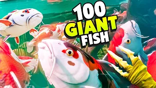 Spawning 100 GIANT KOI FISH Into the Pond! - Grounded Pond Update