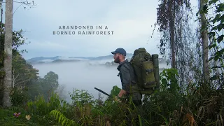 Stories: Abandoned in a Borneo Rainforest