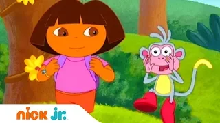 Даша-путешественница | Путешествие на пляж | Nick Jr. Россия