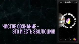 Катрены Создателя ✴ 11 02 2022 “Чистое Сознание – это и есть Эволюция!” 042 114