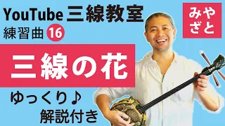 練習曲16  三線の花（譜面あり）  ＠宮里英克沖縄三線教室（Okinawan traditional three-stringed instrument Sanshin）#一緒に　#三線　#練習