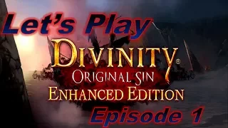 Divinity: Original Sin - Enhanced Edition  - Ep 1 - Let's Play - [PC,Tactician]