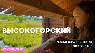 РЯДОМ С КАЗАНЬЮ #3 Голубое озеро, Страусы, ИСКЕ КАЗАН | Высокогорский район. Татарстан