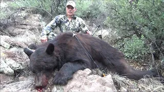 Arizona Guided Hunts Archery Bow Hunting Bear 2019
