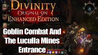 Divinity Original Sin Enhanced Edition Walkthrough Goblin Combat towards the Luculla Mines Entrance