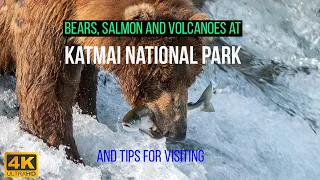 Katmai National Park | Top Sights and Tips for Visiting