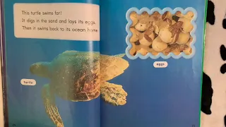 Read-aloud Lesson 11 "At Home in the Ocean"